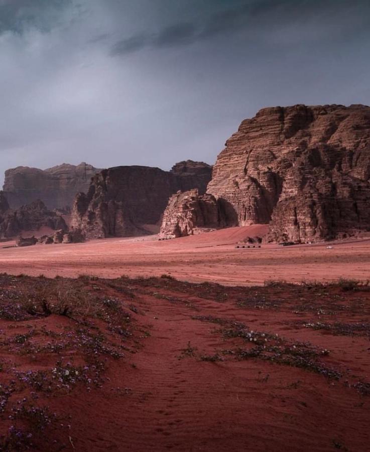 Wadi Rum Camp Exteriör bild
