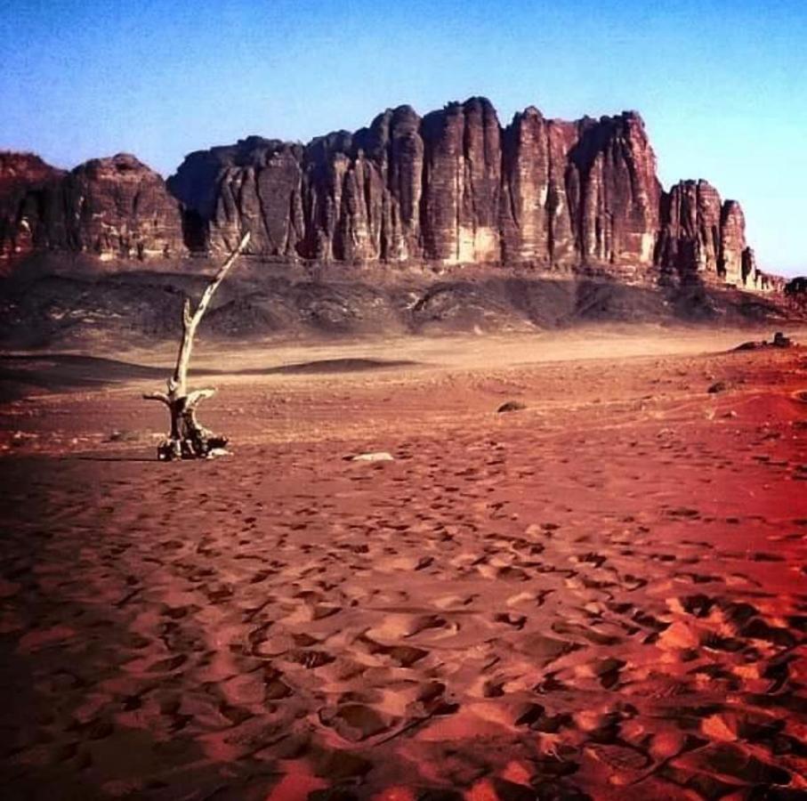 Wadi Rum Camp Exteriör bild