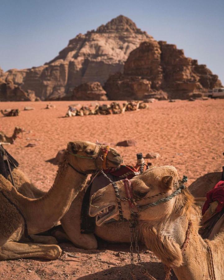 Wadi Rum Camp Exteriör bild