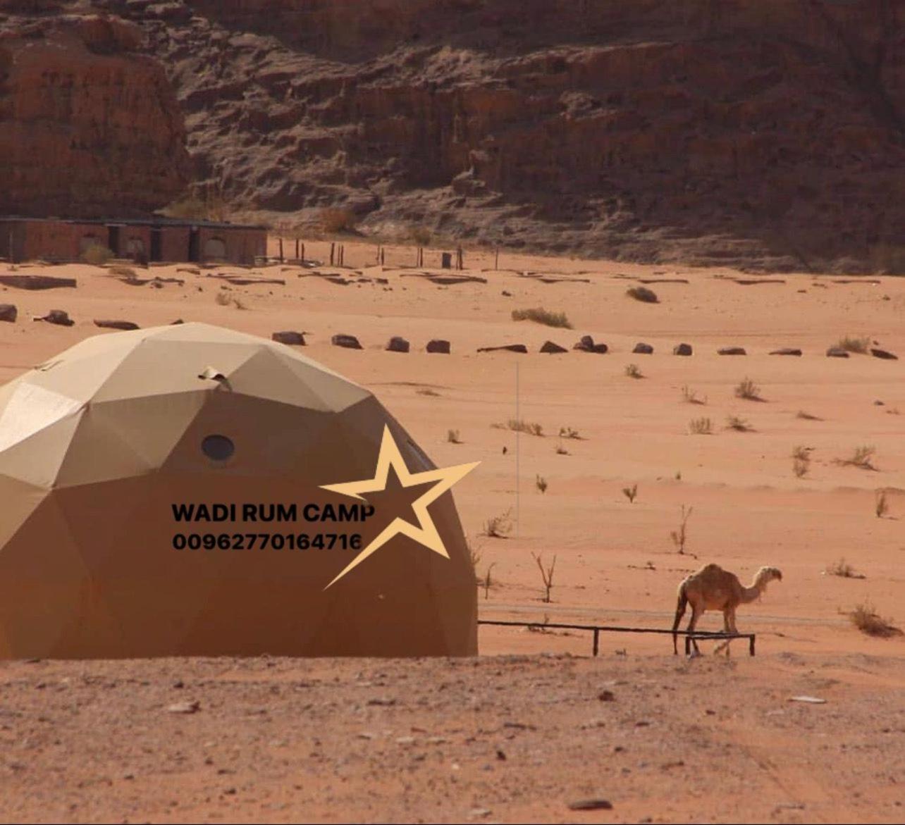 Wadi Rum Camp Exteriör bild